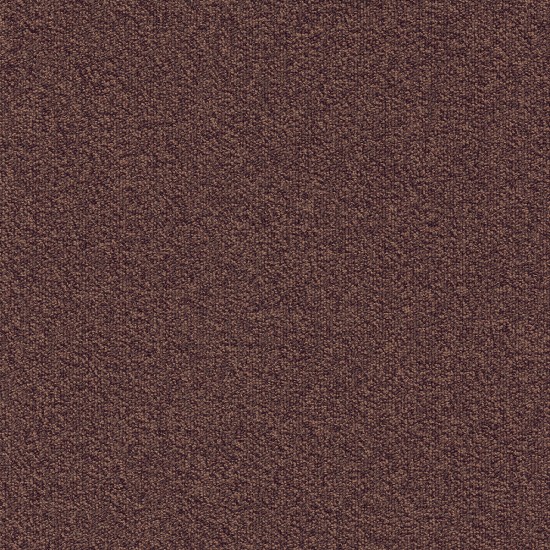  03 Millennium Nxtgen